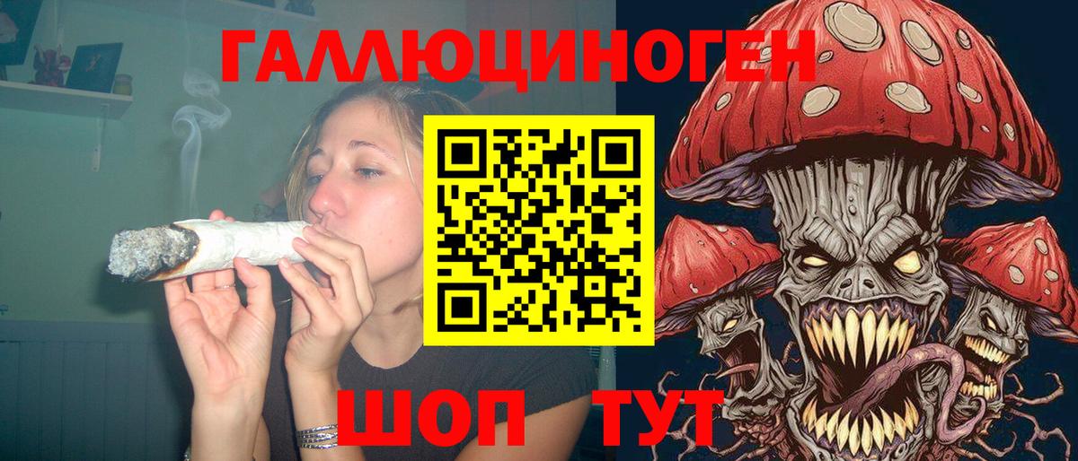 Галлюциногенные грибы GOLDEN TEACHER  Вход с VPN  Галлюциногенные грибы мухоморы  Алушта 